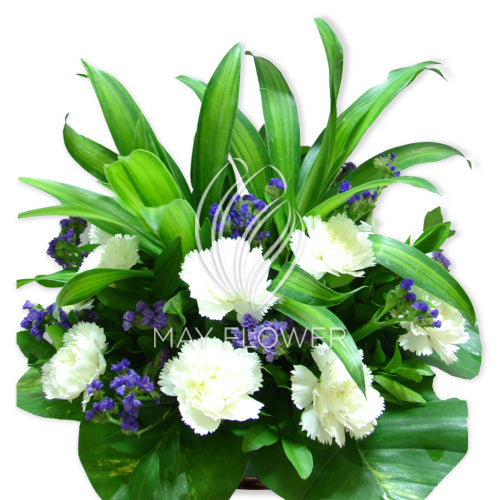 Subtle Assorted Flower Bouquet – May Flower